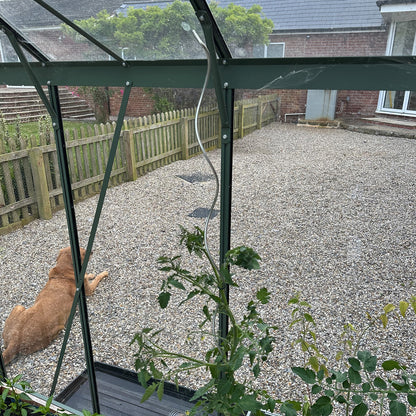 Woodside Climbing Tomato Plant Spiral Support Stakes, Galvanised Steel, Pack of 12