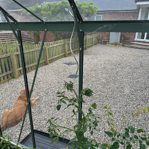 Woodside Climbing Tomato Plant Spiral Support Stakes, Galvanised Steel, Pack of 12