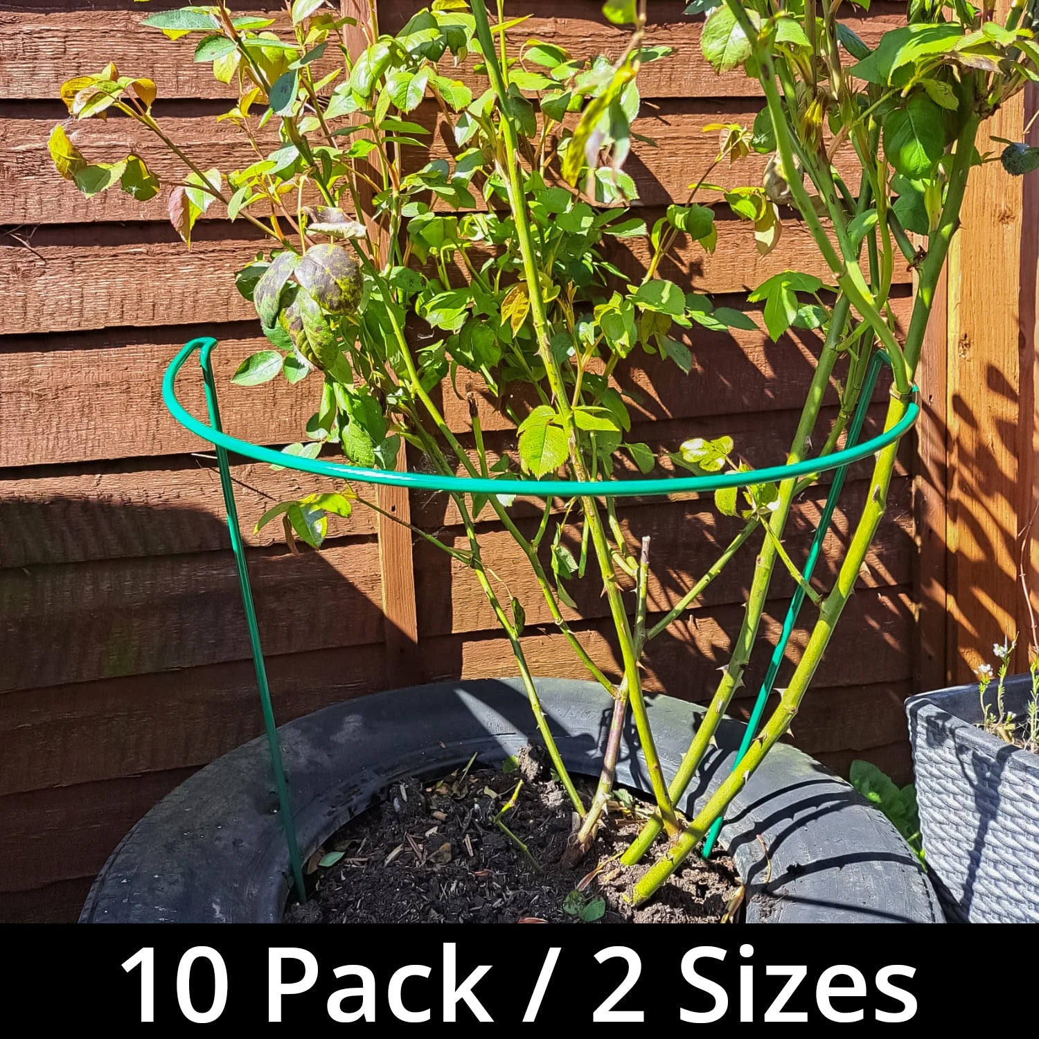 Woodside Steel Garden Plant Support Stakes, Half Round Flower Guard Cage (10 pack)