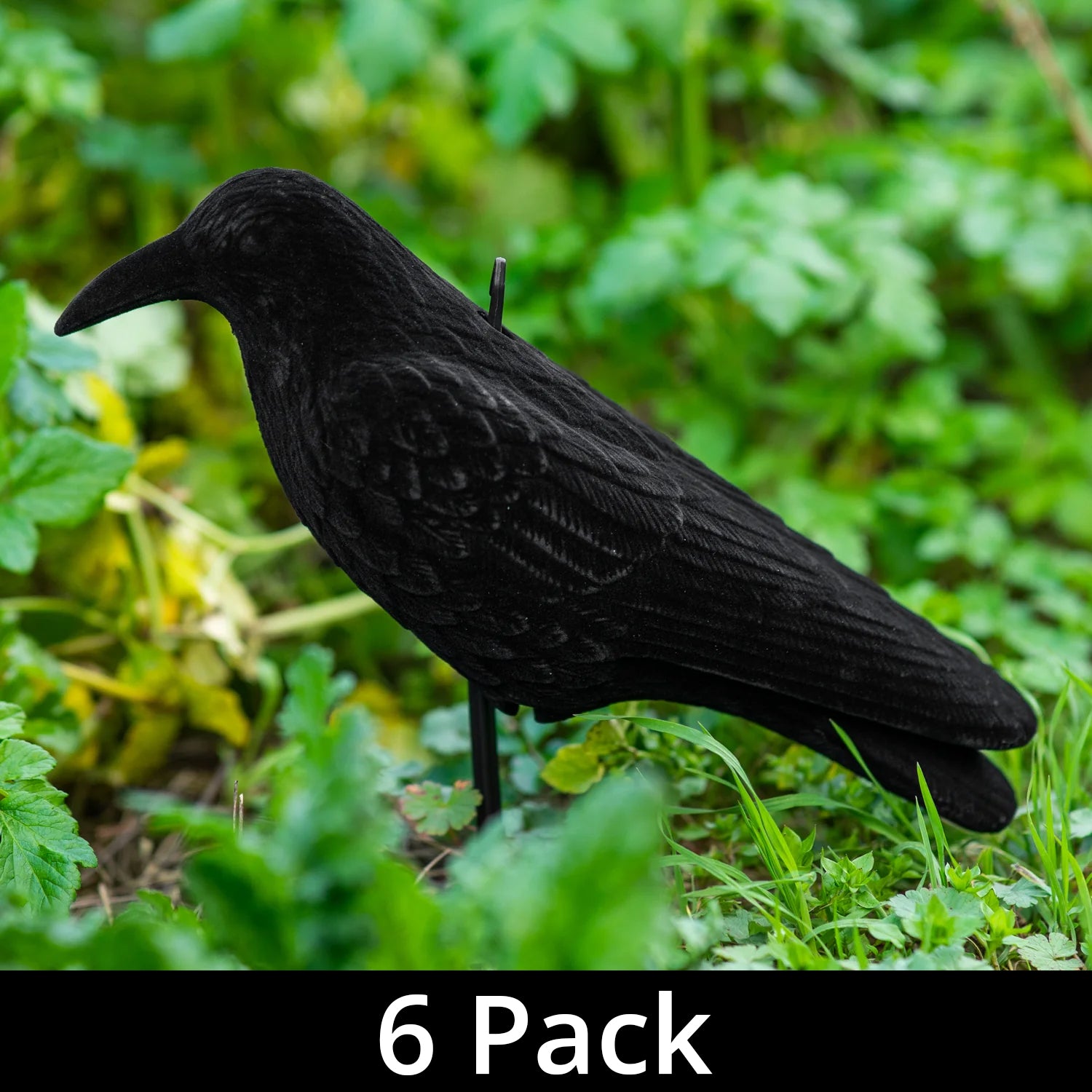 6 x Nitehawk Full Body Flocked Shooting/Hunting Crow Decoy With Feet And Stake