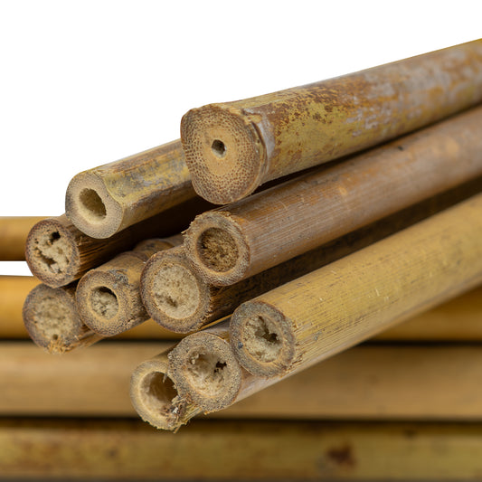 Woodside 2ft-6ft Garden Bamboo Canes Heavy Duty Plant Support Stakes/Sticks – 10 Pack