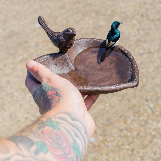 Woodside Cast Iron Bird Feeder & Bath Freestanding Heart Shaped Decorative Garden Ornament