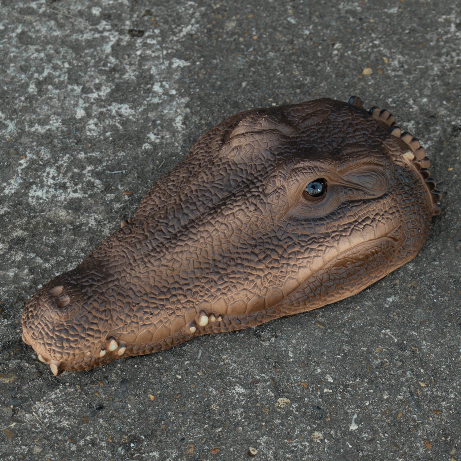 Woodside Floating Garden Pond Water Feature Crocodile/Alligator Ornament Head