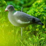 Nitehawk Hunting Shooting Flocked Full Body Fake Bird Pigeon Decoy Shell