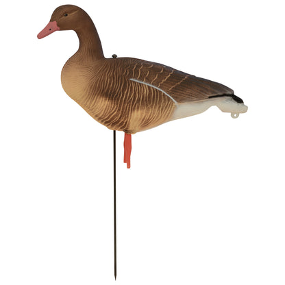 Nitehawk Sitting & Feeding Greylag Goose Decoys Realistic Shooting/Hunting Geese