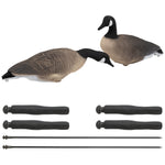 Nitehawk Sitting & Feeding Canada Goose Decoys Realistic Shooting/Hunting Geese