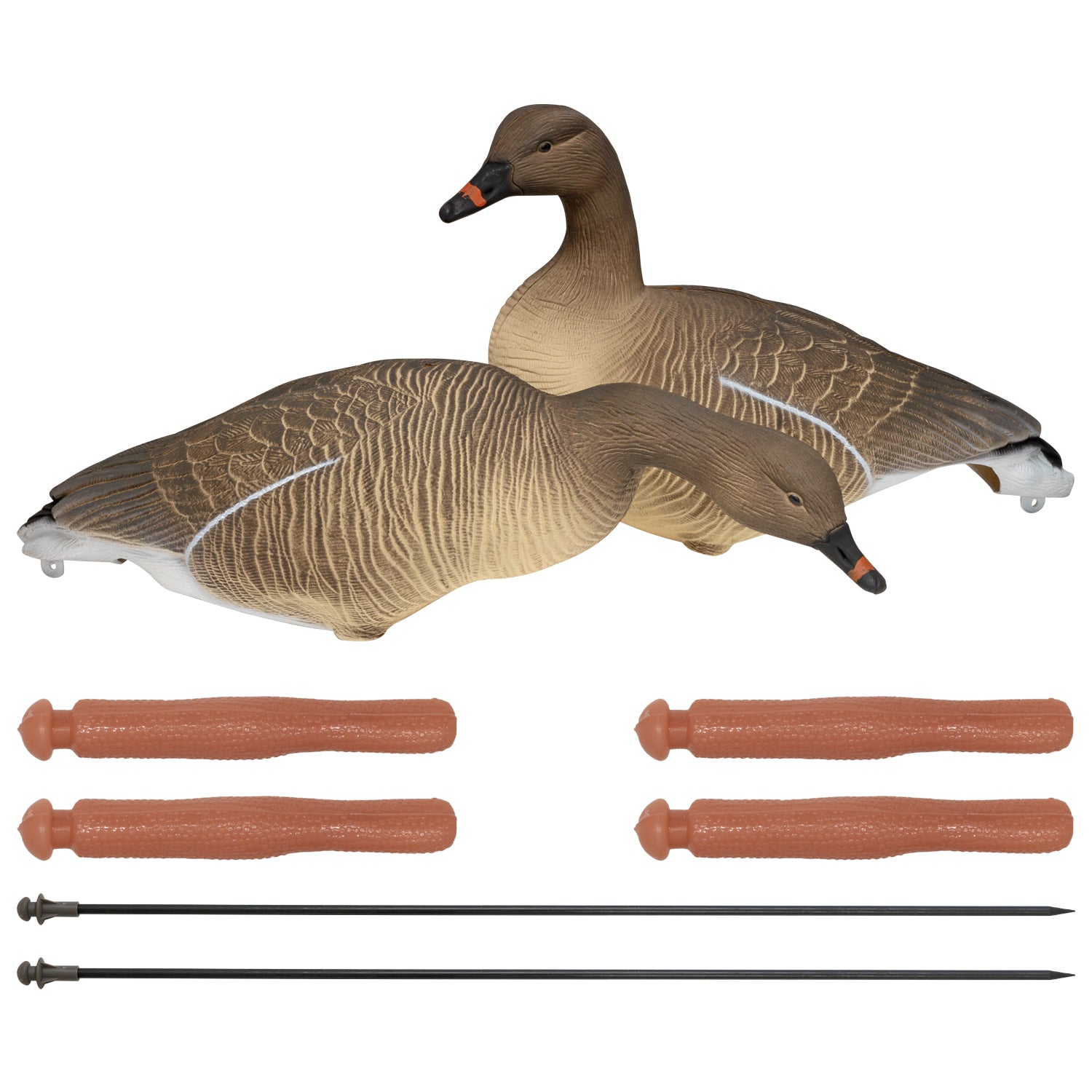 Nitehawk Sitting & Feeding Pink Footed Goose Decoys Realistic Shooting/Hunting Geese
