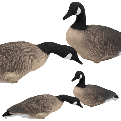 Nitehawk Sitting & Feeding Canada Goose Decoys Realistic Shooting/Hunting Geese