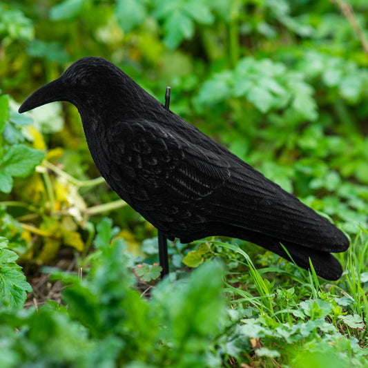 Nitehawk Full Body Flocked Shooting/Hunting Crow Decoy With Feet And Stake
