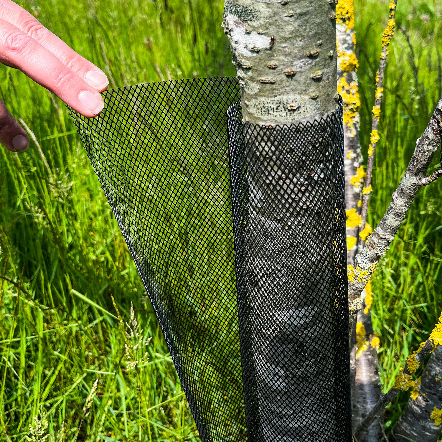 Woodside Mesh Tree & Sapling Guard Protectors Weatherproof Trunk Cover Pack of 5