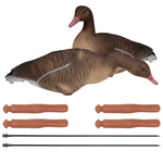 Nitehawk Sitting & Feeding Greylag Goose Decoys Realistic Shooting/Hunting Geese
