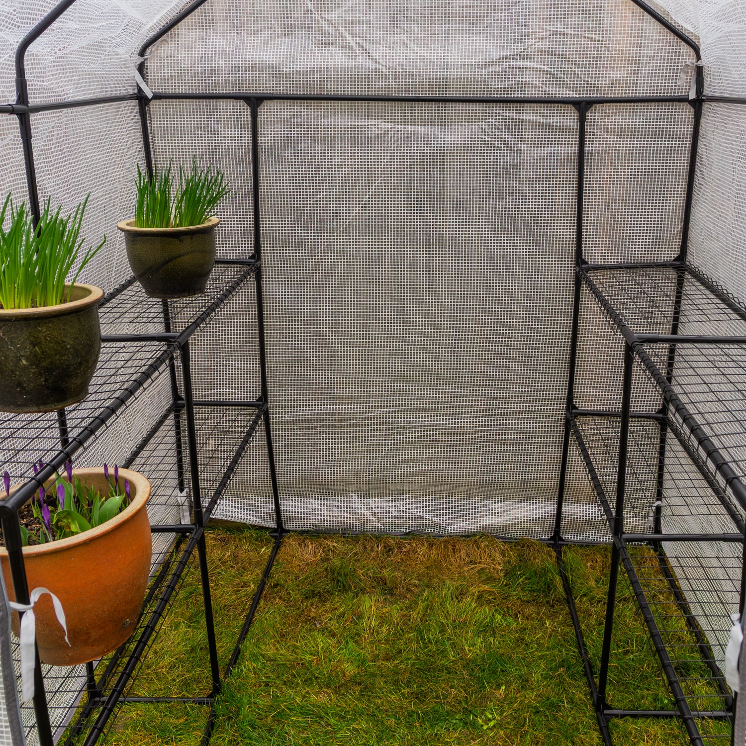 Woodside Large Walk-in Greenhouse with Netted PE Cover 4 Shelves Steel Frame