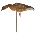 Nitehawk Sitting & Feeding Greylag Goose Decoys Realistic Shooting/Hunting Geese