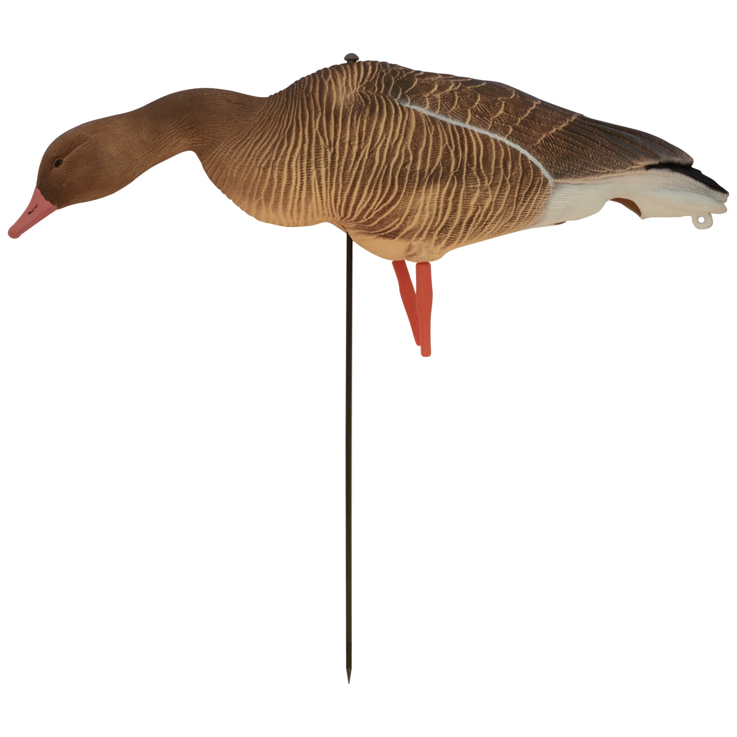 Nitehawk Sitting & Feeding Greylag Goose Decoys Realistic Shooting/Hunting Geese