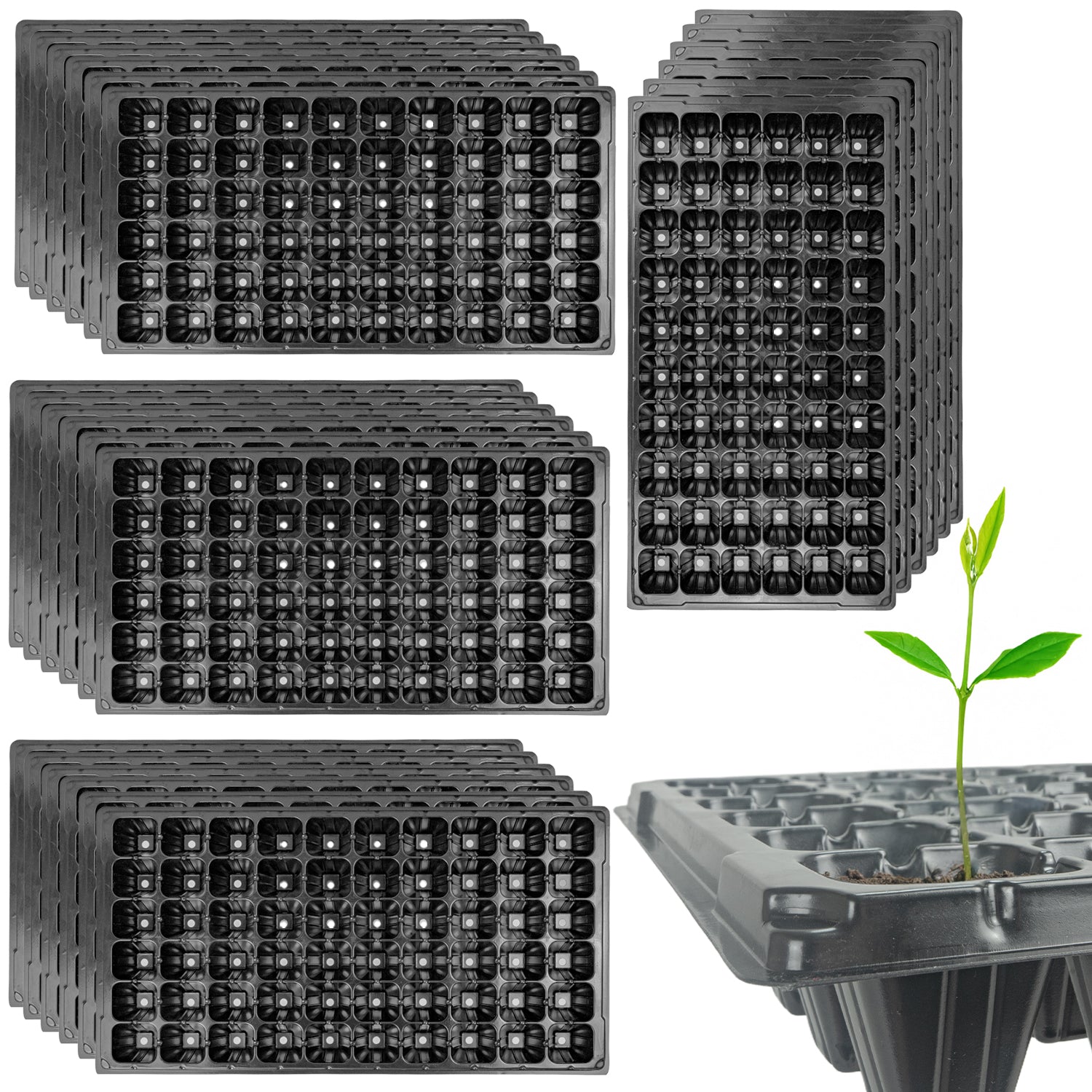 Woodside 60 Cell Root Trainer Seed Trays 24 Pack | Durable Reusable Seedling Growing & Propagation Trays