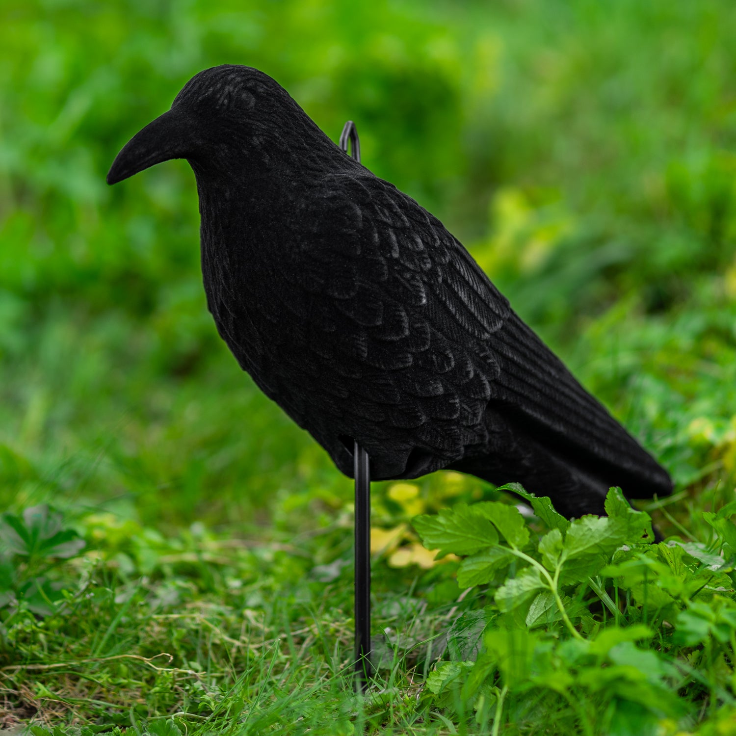 4 x Nitehawk Full Body Flocked Shooting/Hunting Crow Decoy With Feet And Stake