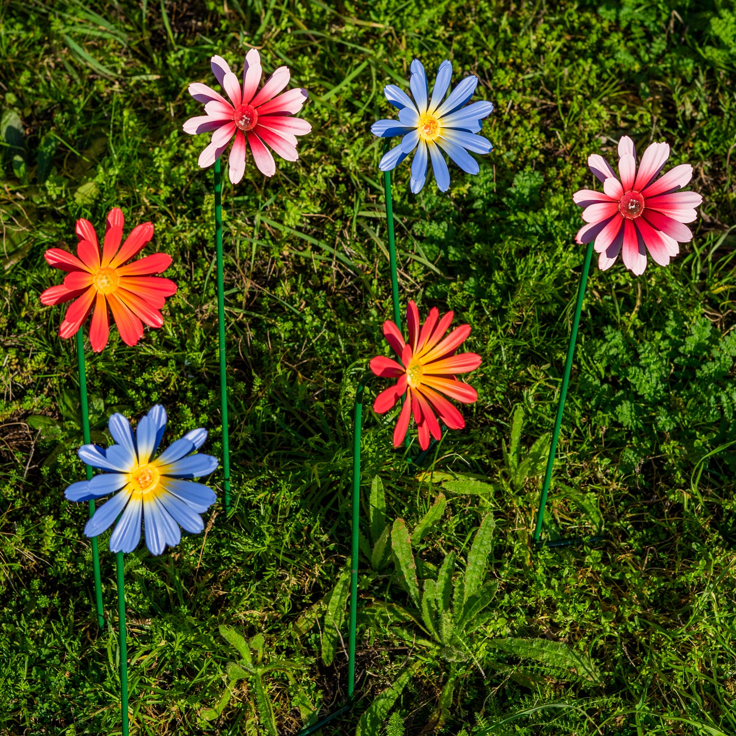 Woodside Pink & Purple Ornamental Metal Garden Daisy Flower Stakes, Pack of 6