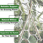 Woodside 90cm Willow Pea & Bean Support Sticks – Pack of 50 Natural Garden Plant Canes for Climbing Plants