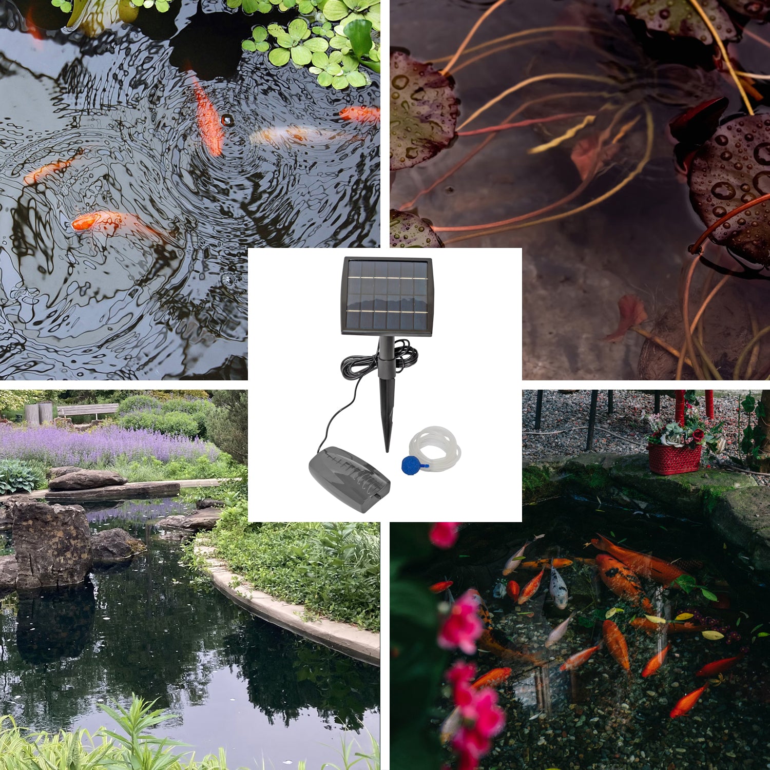 Woodside Solar Powered Oxygenator Pond Water Oxygen Pump 1 Air Stone Aerator