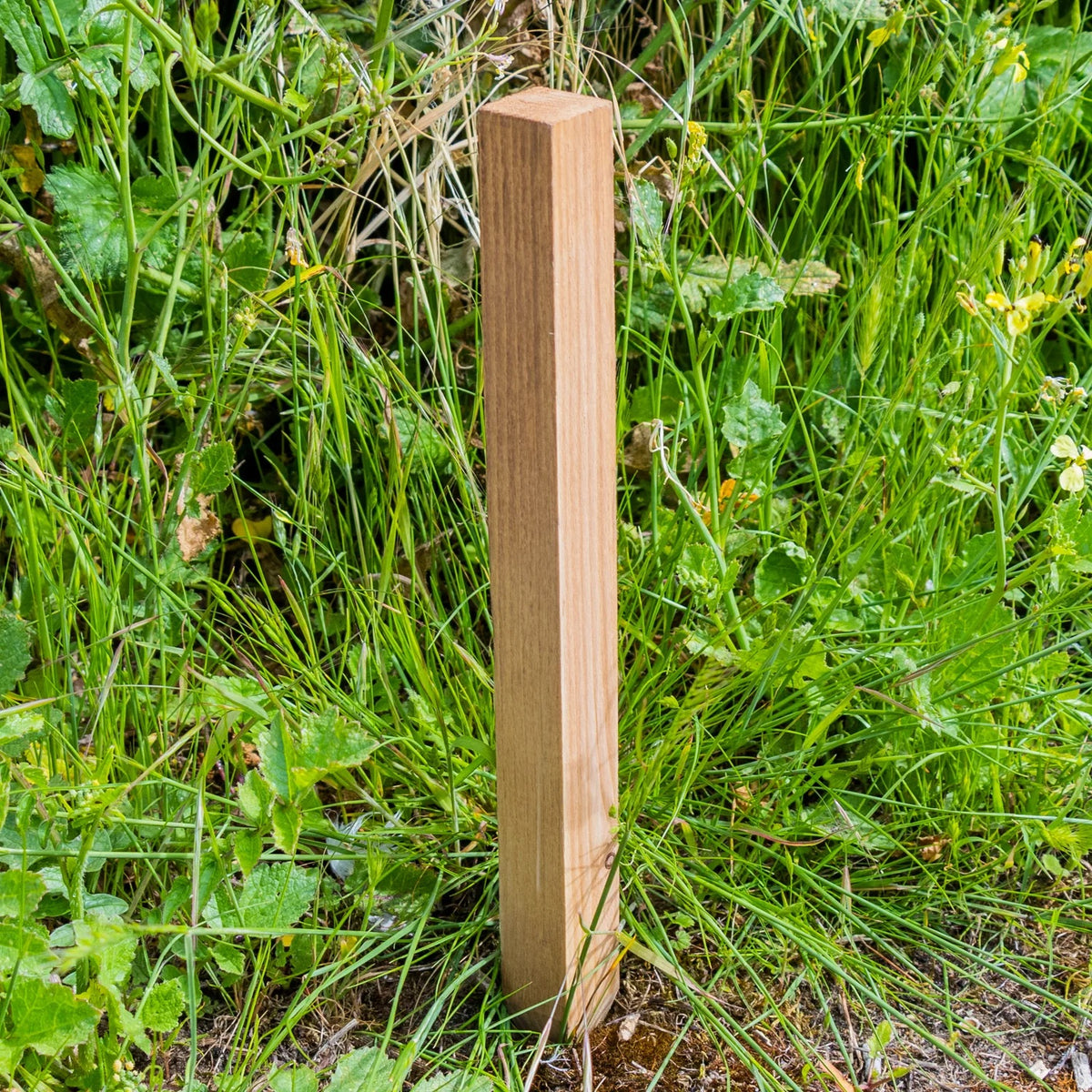 Woodside 40 Pack 12 Inch (300mm) Square Wooden Fencing Stakes – Pressure-Treated Pine Garden Fence Pegs and Site Markers