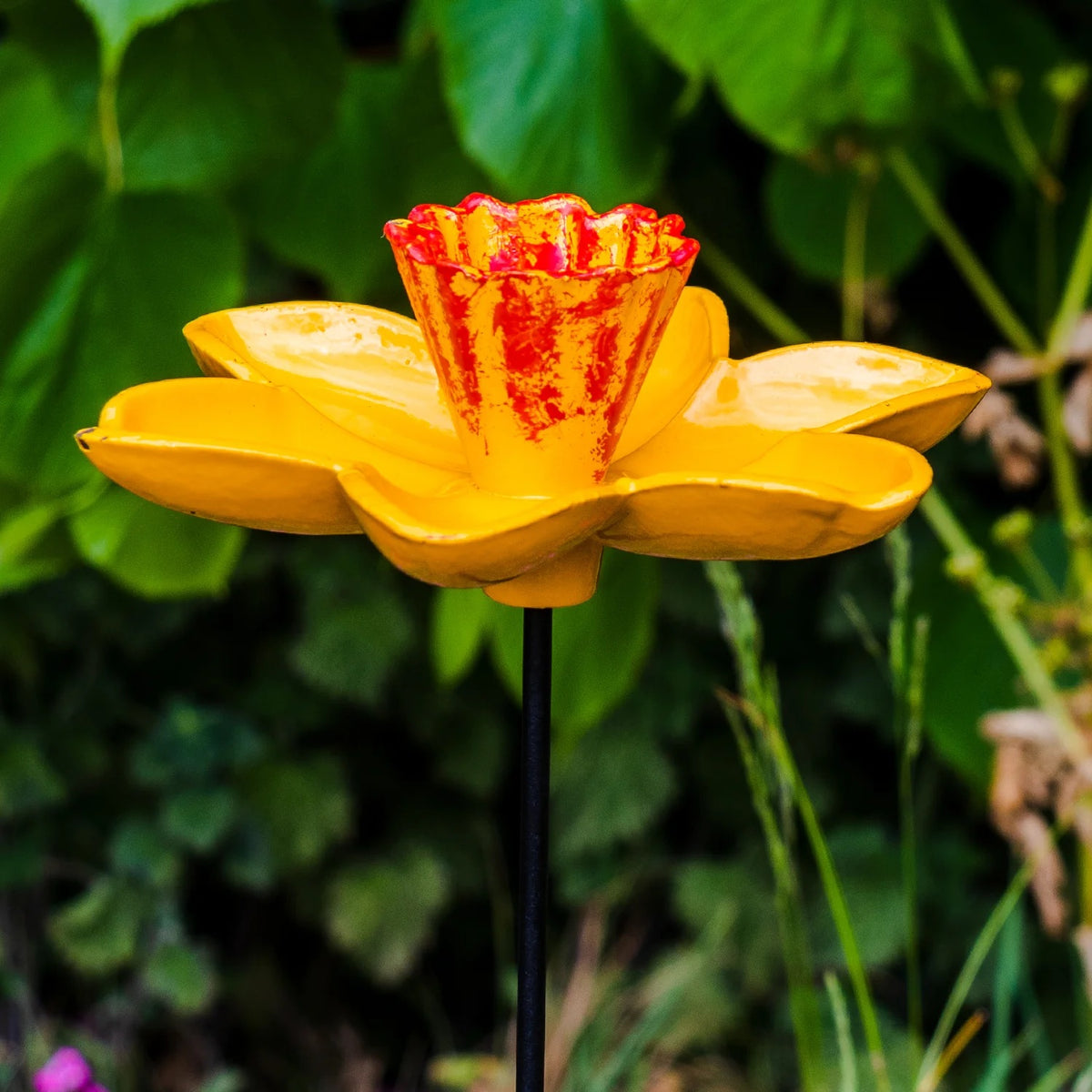 Woodside 4 Pack Cast Iron Daffodil Dish Bird Feeders – Decorative Garden Wildlife