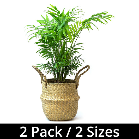 Woodside Seagrass Woven Wicker Storage Laundry Belly Basket, Pack of 2