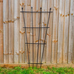 Woodside 6 Pack 1.2m Metal Garden Fan Trellis – Decorative Plant, Flower Pot & Climbing Supports