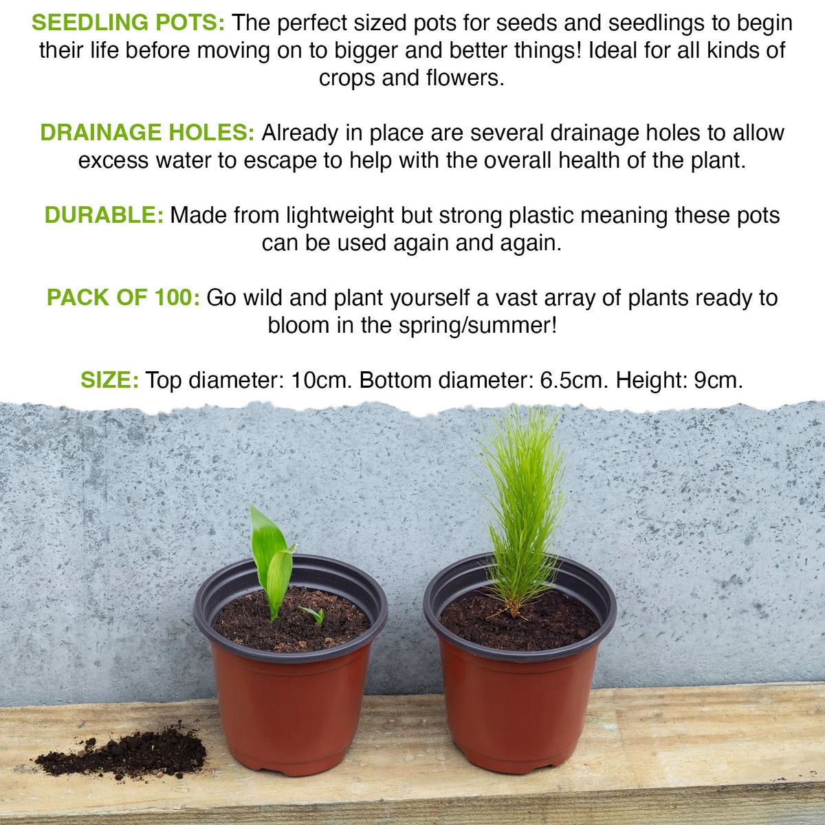 Woodside 200 Pack 10cm Plastic Seedling Pots – Garden Nursery, Flower & Plant Pots with Drainage Holes