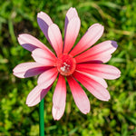 Woodside 12 Pack Pink & Purple Ornamental Metal Daisy Stakes – 60cm Decorative Garden Border & Pathway Flowers