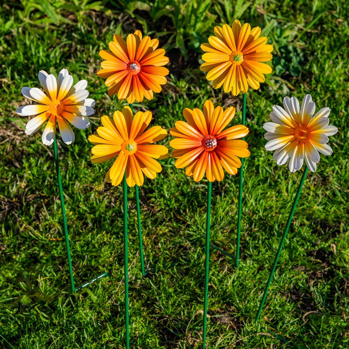 Woodside 12 Pack Yellow & Orange Ornamental Metal Daisy Stakes – 60cm Decorative Garden Border & Pathway Flowers