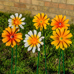 Woodside 12 Pack Yellow & Orange Ornamental Metal Daisy Stakes – 60cm Decorative Garden Border & Pathway Flowers