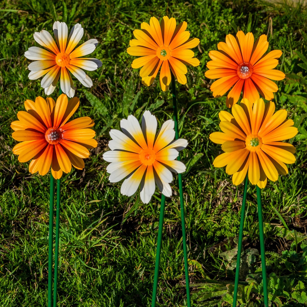 Woodside 12 Pack Yellow & Orange Ornamental Metal Daisy Stakes – 60cm Decorative Garden Border & Pathway Flowers