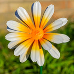 Woodside 12 Pack Yellow & Orange Ornamental Metal Daisy Stakes – 60cm Decorative Garden Border & Pathway Flowers