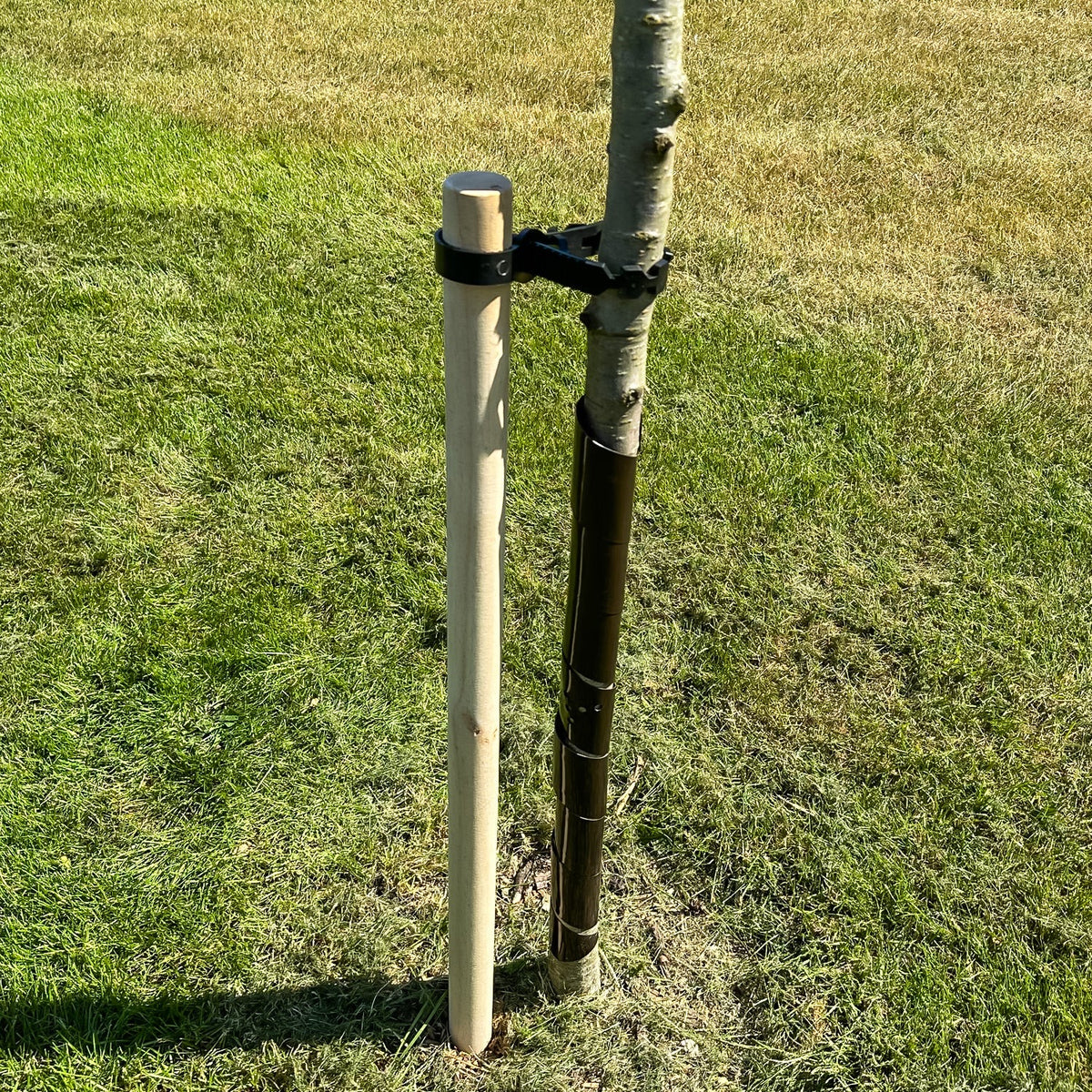 Woodside 6 Pack 120cm Garden Tree Support Stakes with Tie & Spiral Sleeve – Fruit Trees, Saplings & Shrubs