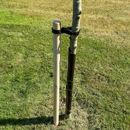 Woodside 4 Pack 120cm Garden Tree Support Stakes with Tie & Spiral Sleeve – Fruit Trees, Saplings & Shrubs