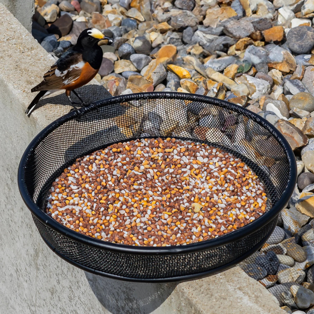 Woodside 4 Pack Universal Metal Mesh Bird Seed & Nut Dishes – Replacement Garden Bird Feeder Trays