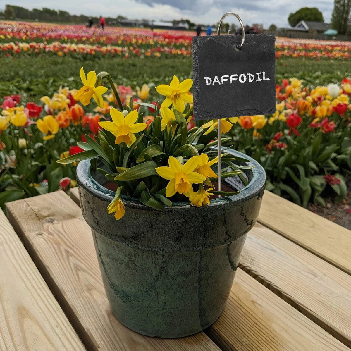 Woodside 20 Pack Slate Plant & Flower Markers with Stainless Steel Rods – Garden & Plant Stall Labels