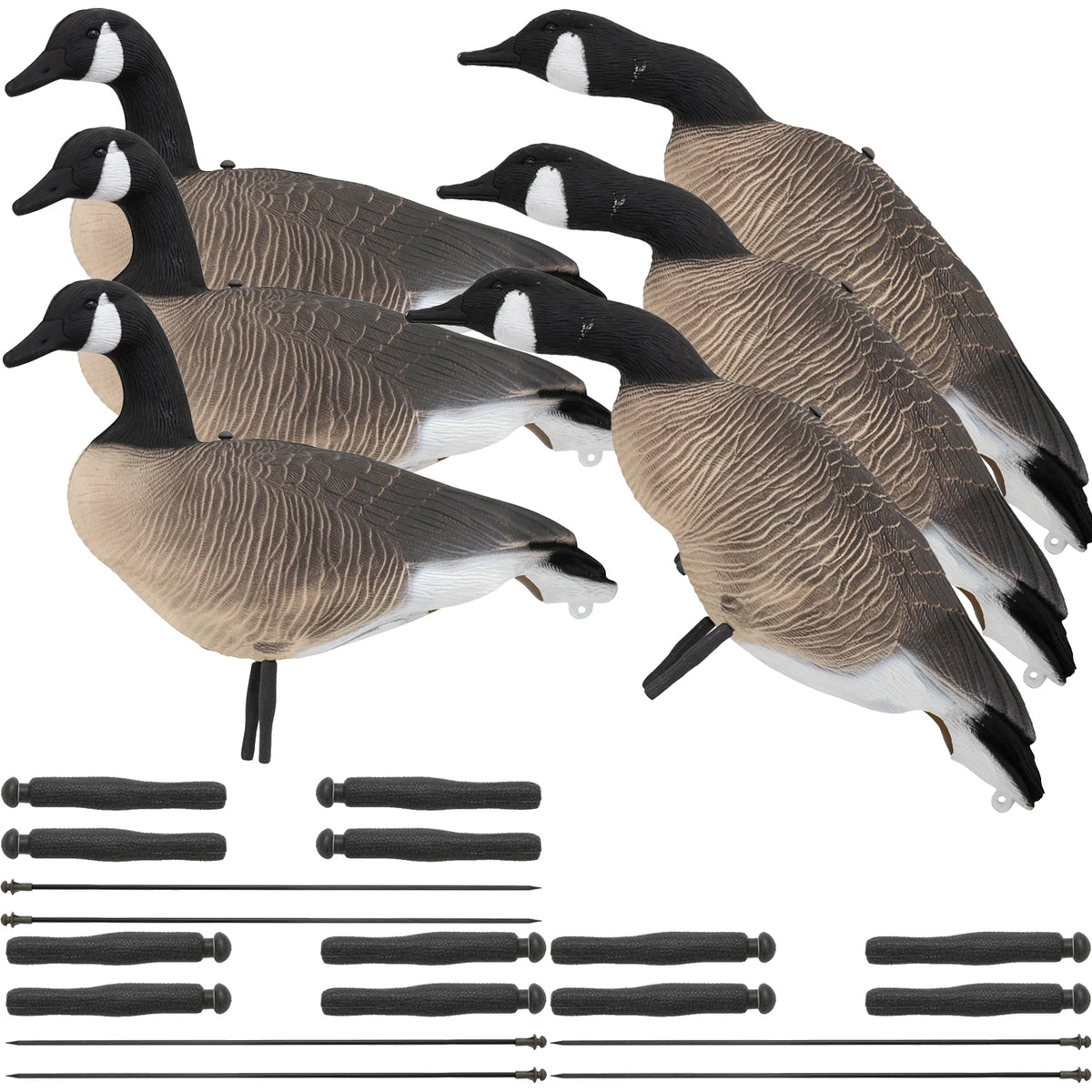Nitehawk 6 Pack Large Canada Goose Decoys – Full Body Sitting & Feeding Geese with Stakes for Field Use