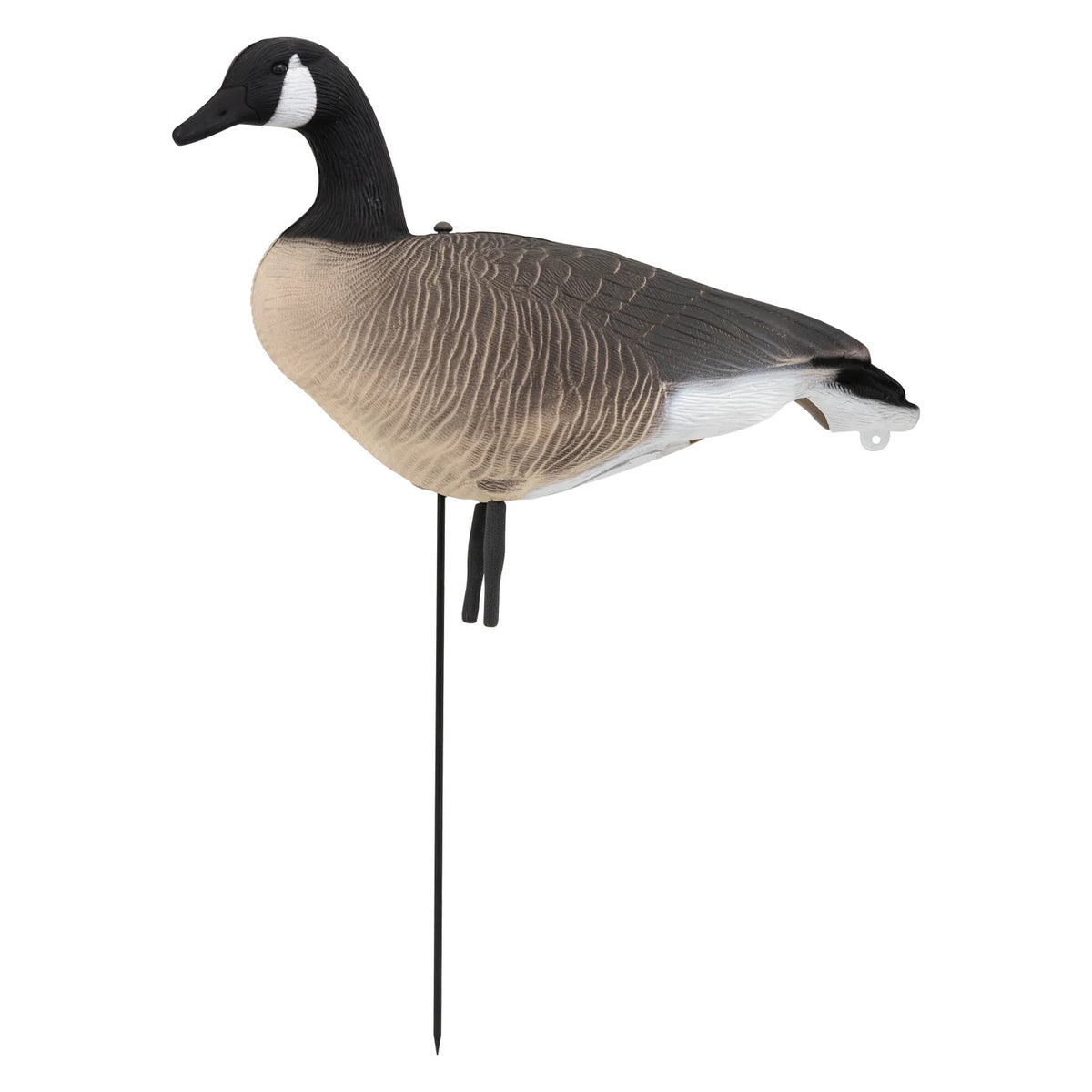 Nitehawk 6 Pack Large Canada Goose Decoys – Full Body Sitting & Feeding Geese with Stakes for Field Use