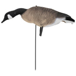 Nitehawk 4 Pack Large Canada Goose Decoys – Full Body Sitting & Feeding Geese with Stakes for Field Use