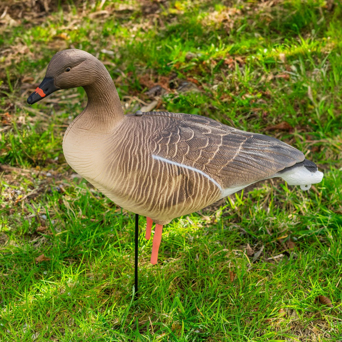 Nitehawk 4 Pack Pink Footed Goose Decoys – Sitting & Feeding Full Body Models with Ground Stakes