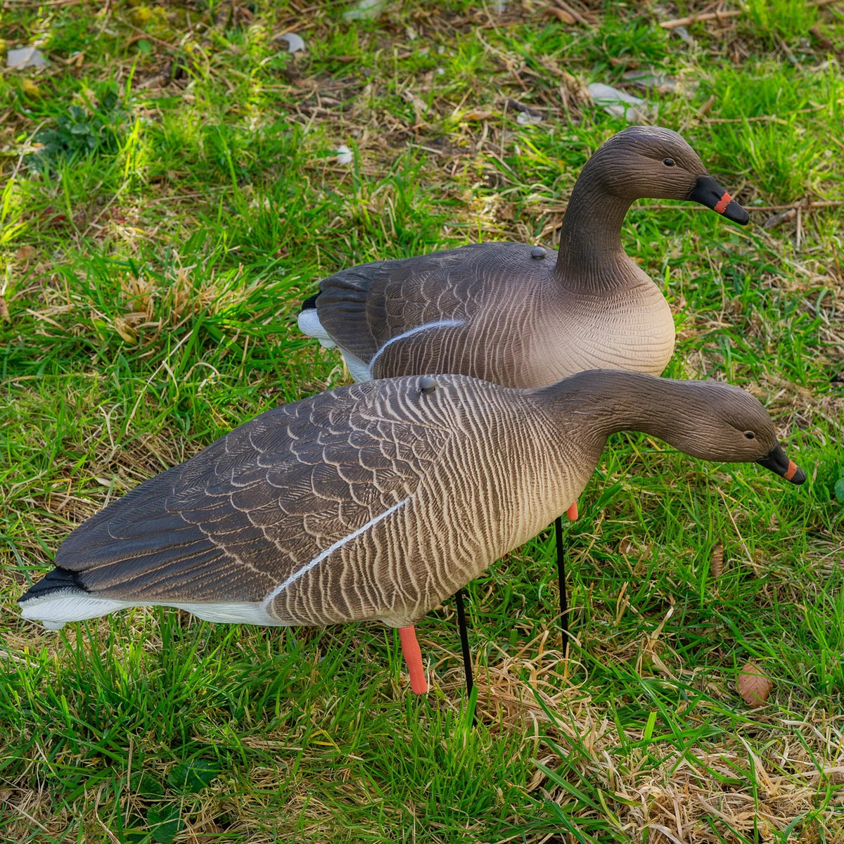 Nitehawk 4 Pack Pink Footed Goose Decoys – Sitting & Feeding Full Body Models with Ground Stakes
