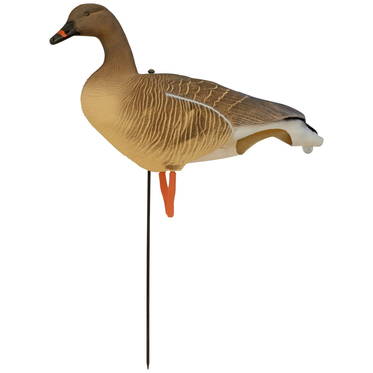 Nitehawk 4 Pack Pink Footed Goose Decoys – Sitting & Feeding Full Body Models with Ground Stakes