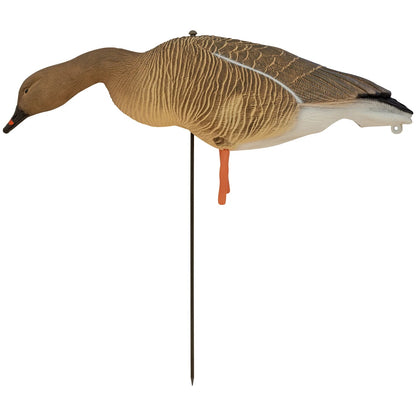 Nitehawk 6 Pack Pink Footed Goose Decoys – Sitting & Feeding Full Body Models with Ground Stakes
