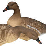 Nitehawk 4 Pack Pink Footed Goose Decoys – Sitting & Feeding Full Body Models with Ground Stakes