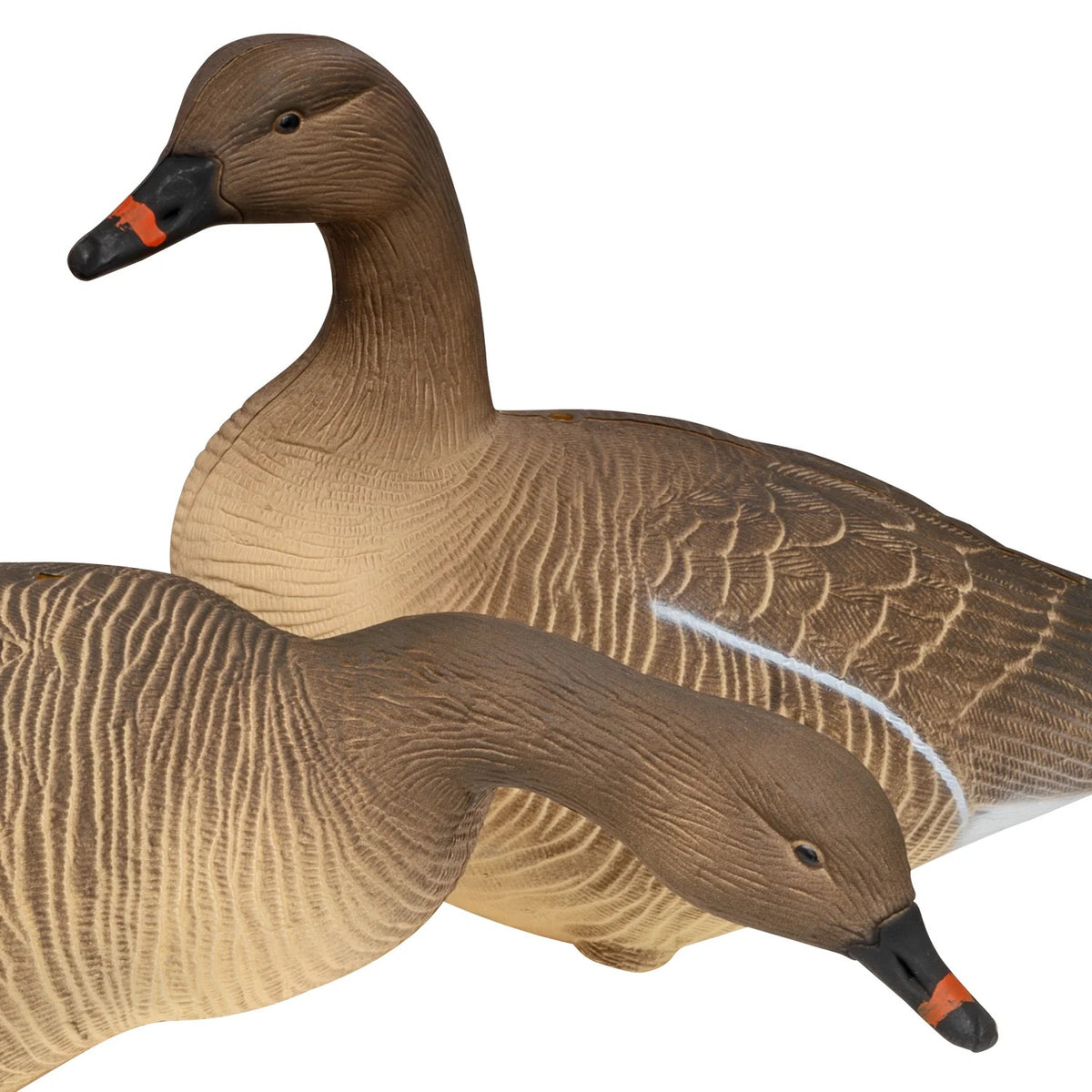 Nitehawk 4 Pack Pink Footed Goose Decoys – Sitting & Feeding Full Body Models with Ground Stakes