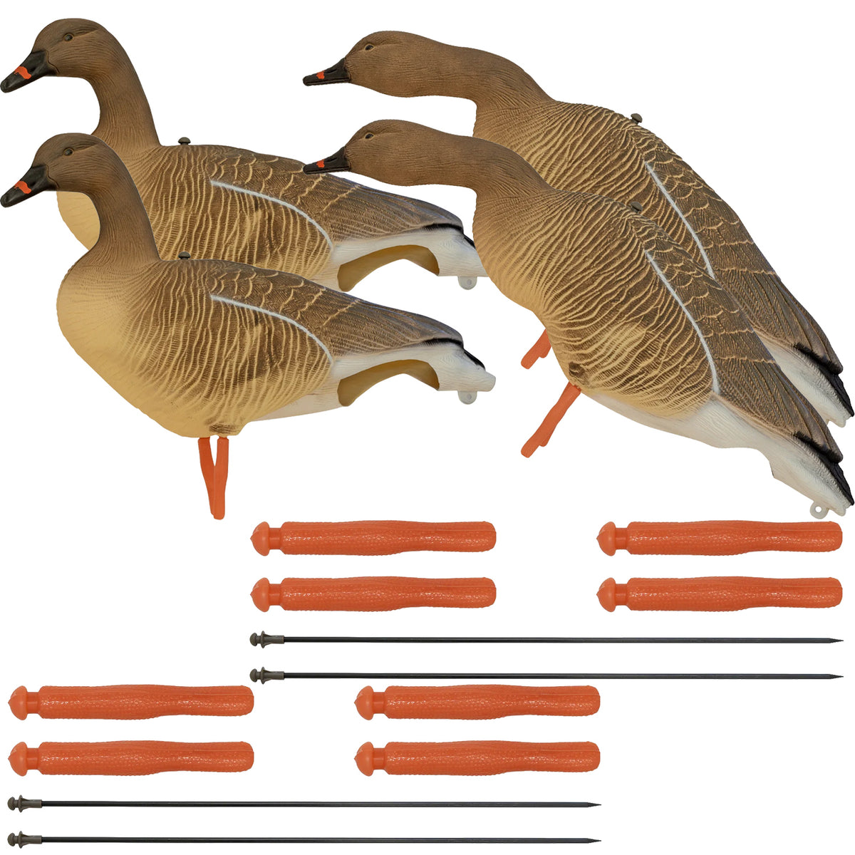 Nitehawk 4 Pack Pink Footed Goose Decoys – Sitting & Feeding Full Body Models with Ground Stakes