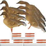 Nitehawk 6 Pack Pink Footed Goose Decoys – Sitting & Feeding Full Body Models with Ground Stakes