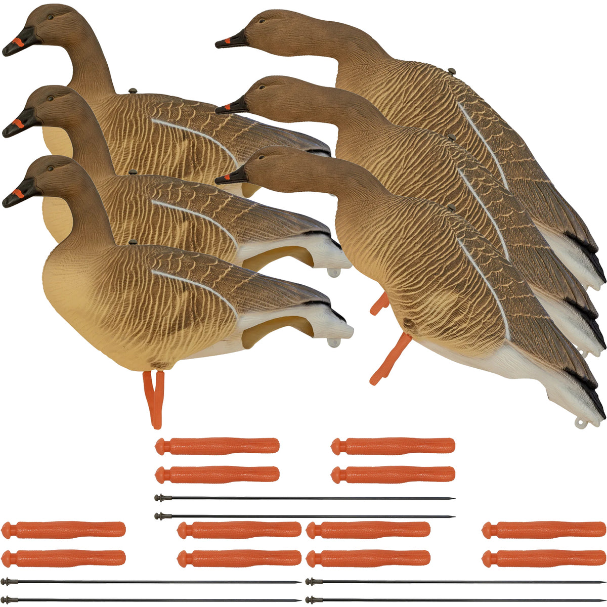 Nitehawk 6 Pack Pink Footed Goose Decoys – Sitting & Feeding Full Body Models with Ground Stakes