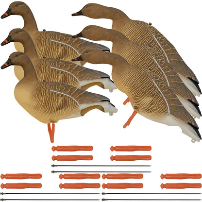 Nitehawk 6 Pack Pink Footed Goose Decoys – Sitting & Feeding Full Body Models with Ground Stakes
